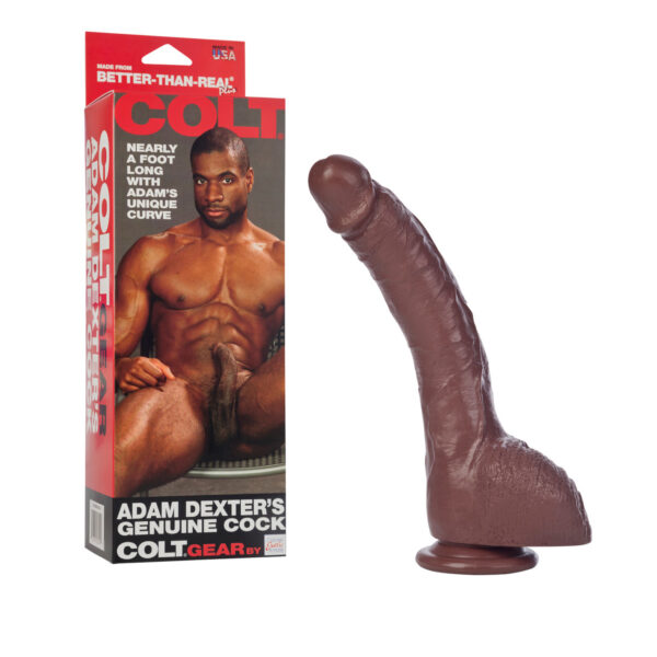 Colt Adam Dexter's Genuine Cock - Brown